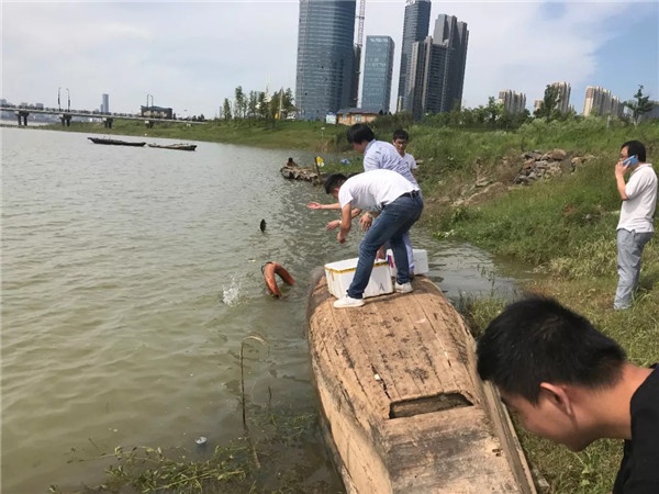 1533606897955452.jpg 640.webp (4).jpg