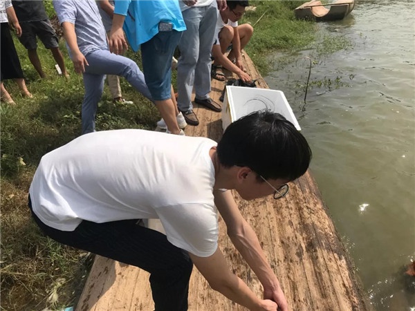 1533606906520710.jpg 640.webp (5).jpg